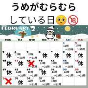 ヒメ日記 2025/02/19 10:47 投稿 うめ 西川口こんにちわいふ（シンデレラグループ）