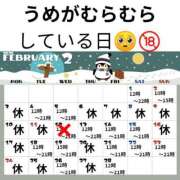 ヒメ日記 2025/02/24 13:11 投稿 うめ 西川口こんにちわいふ（シンデレラグループ）