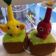 ヒメ日記 2024/12/12 22:59 投稿 星咲ほなみ ウルトラハピネス