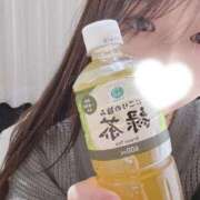 ヒメ日記 2025/01/24 18:20 投稿 れんか 京都出張メンズエステChou Chou（シュシュ)