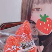 ヒメ日記 2025/02/10 22:31 投稿 れんか 京都出張メンズエステChou Chou（シュシュ)