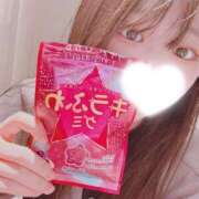 ヒメ日記 2025/04/11 20:22 投稿 れんか 京都出張メンズエステChou Chou（シュシュ)