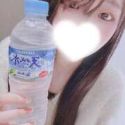 ヒメ日記 2025/04/23 01:20 投稿 れんか 京都出張メンズエステChou Chou（シュシュ)