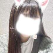 ヒメ日記 2025/04/25 20:31 投稿 れんか 京都出張メンズエステChou Chou（シュシュ)