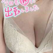 ヒメ日記 2025/03/08 11:31 投稿 かぐら 横浜人妻花壇本店