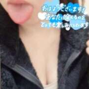 ヒメ日記 2025/03/14 08:37 投稿 かぐら 横浜人妻花壇本店