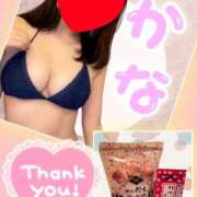 ヒメ日記 2024/12/13 08:31 投稿 かな 石亭