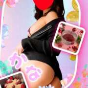 ヒメ日記 2024/12/14 11:16 投稿 かな 石亭