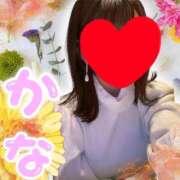 ヒメ日記 2024/12/18 08:47 投稿 かな 石亭