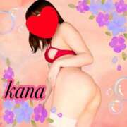 ヒメ日記 2024/12/29 09:16 投稿 かな 石亭