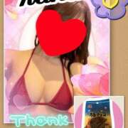 ヒメ日記 2025/01/17 08:42 投稿 かな 石亭