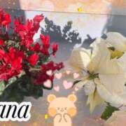 ヒメ日記 2025/01/22 16:07 投稿 かな 石亭