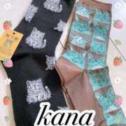 ヒメ日記 2025/01/23 17:05 投稿 かな 石亭