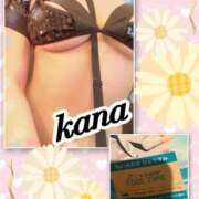 ヒメ日記 2025/01/26 08:31 投稿 かな 石亭