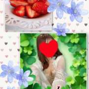 ヒメ日記 2025/02/28 09:13 投稿 かな 石亭