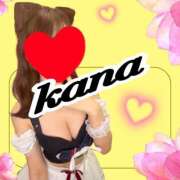 ヒメ日記 2025/03/12 08:28 投稿 かな 石亭