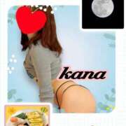 ヒメ日記 2025/03/15 08:58 投稿 かな 石亭