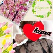 ヒメ日記 2025/03/28 15:01 投稿 かな 石亭