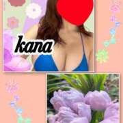 ヒメ日記 2025/03/30 13:27 投稿 かな 石亭