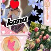 ヒメ日記 2025/04/04 12:06 投稿 かな 石亭