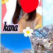 ヒメ日記 2025/04/04 14:30 投稿 かな 石亭