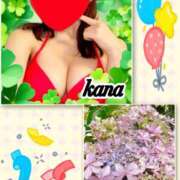 ヒメ日記 2025/04/10 18:35 投稿 かな 石亭