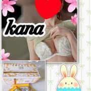 ヒメ日記 2025/04/19 14:43 投稿 かな 石亭