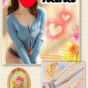 ヒメ日記 2025/04/28 08:22 投稿 かな 石亭