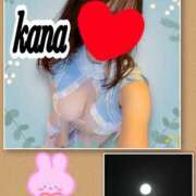 ヒメ日記 2025/05/14 12:19 投稿 かな 石亭