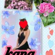 ヒメ日記 2025/05/15 13:30 投稿 かな 石亭