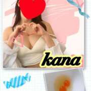 ヒメ日記 2025/05/16 12:46 投稿 かな 石亭