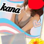 ヒメ日記 2025/06/01 08:14 投稿 かな 石亭