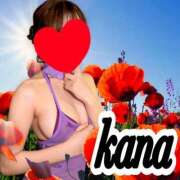 ヒメ日記 2025/06/03 08:37 投稿 かな 石亭