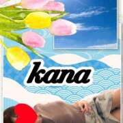 ヒメ日記 2025/06/04 09:39 投稿 かな 石亭