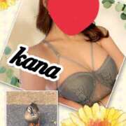 ヒメ日記 2025/06/06 08:39 投稿 かな 石亭