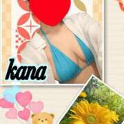 ヒメ日記 2025/06/07 13:11 投稿 かな 石亭