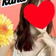 ヒメ日記 2025/07/02 08:53 投稿 かな 石亭