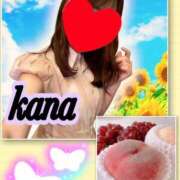 ヒメ日記 2025/07/05 08:02 投稿 かな 石亭