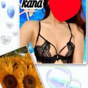 ヒメ日記 2025/07/06 07:30 投稿 かな 石亭