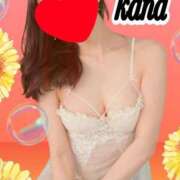 ヒメ日記 2025/07/13 08:27 投稿 かな 石亭