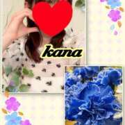 ヒメ日記 2025/07/17 09:28 投稿 かな 石亭