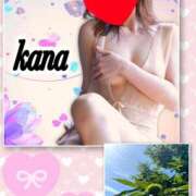 ヒメ日記 2025/07/19 10:39 投稿 かな 石亭