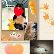 ヒメ日記 2025/10/07 09:23 投稿 かな 石亭