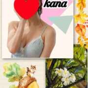 ヒメ日記 2025/11/05 08:46 投稿 かな 石亭