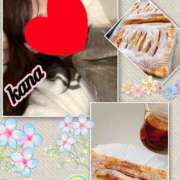 ヒメ日記 2025/11/11 20:30 投稿 かな 石亭