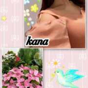 ヒメ日記 2025/11/12 08:58 投稿 かな 石亭