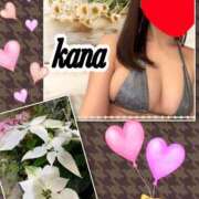 ヒメ日記 2025/11/15 10:17 投稿 かな 石亭