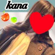 かな 🍀かな日記🍀 石亭