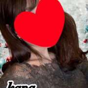 かな 🍀かな日記🍀 石亭