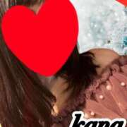 かな 🍀かな日記🍀 石亭